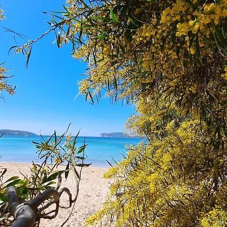 Maison Rossini Apartment