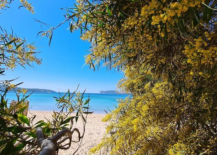 Maison Rossini Apartament